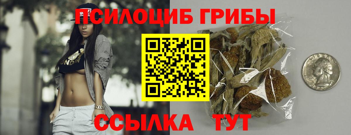 Грозный  Галлюциногенные грибы MAGIC MUSHROOMS  Вход с VPN  Галлюциногенные грибы прущие грибы 
